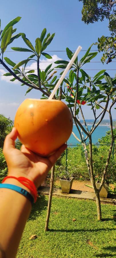 Jungle Beach Restaurant And Hotel-Jbr Galle Ngoại thất bức ảnh