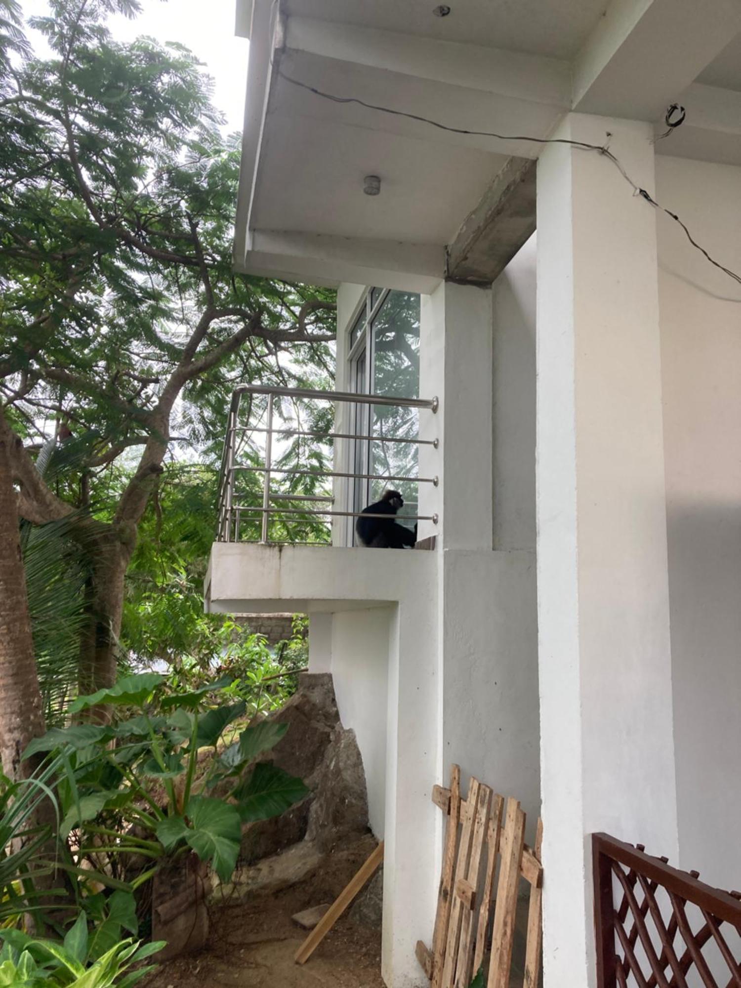 Jungle Beach Restaurant And Hotel-Jbr Galle Ngoại thất bức ảnh